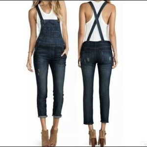 Free People Brady Overalls
